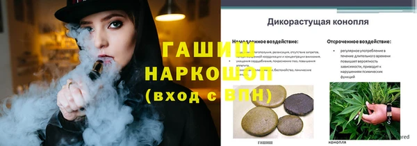 винт Надым