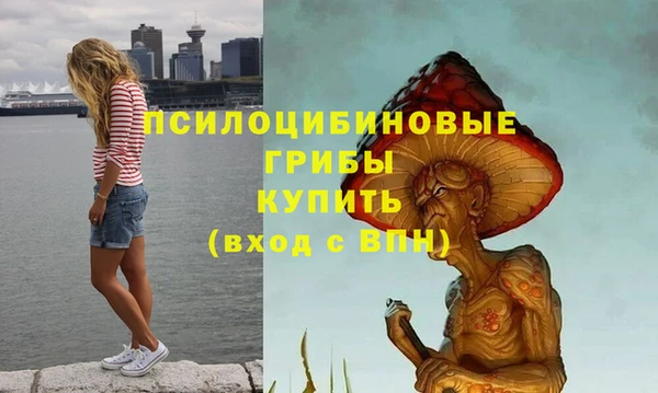 винт Надым