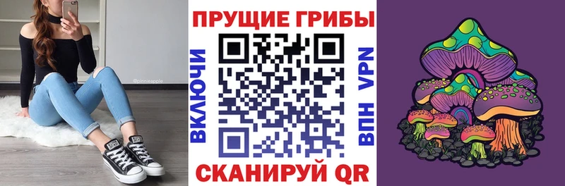 Галлюциногенные грибы Psilocybine cubensis  наркота  Хотьково 
